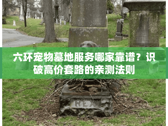 六环宠物墓地服务哪家靠谱？识破高价套路的亲测法则