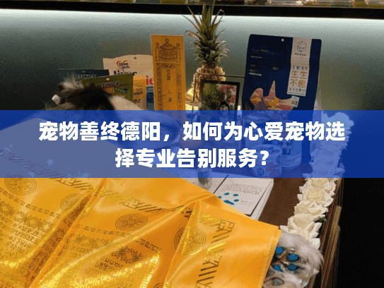 宠物善终德阳，如何为心爱宠物选择专业告别服务？