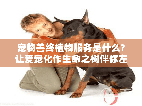 宠物善终植物服务是什么?让爱宠化作生命之树伴你左右