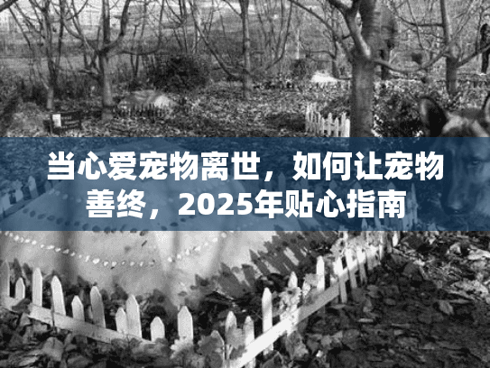 当心爱宠物离世，如何让宠物善终，2025年贴心指南