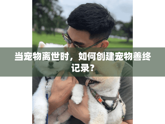 当宠物离世时，如何创建宠物善终记录？