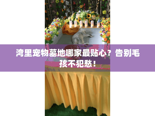 湾里宠物墓地哪家最贴心？告别毛孩不犯愁！