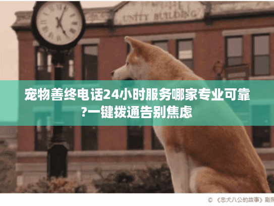 宠物善终电话24小时服务哪家专业可靠?一键拨通告别焦虑