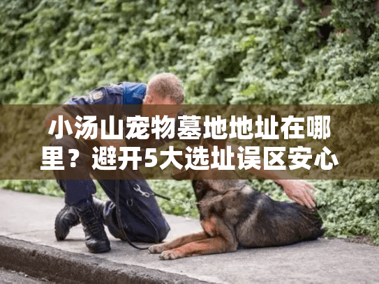 小汤山宠物墓地地址在哪里？避开5大选址误区安心送别爱宠