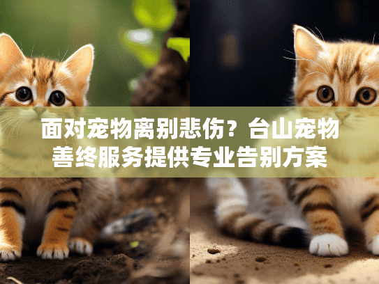 面对宠物离别悲伤？台山宠物善终服务提供专业告别方案