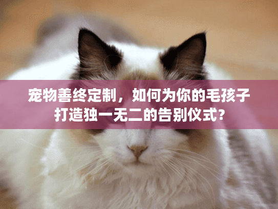 宠物善终定制，如何为你的毛孩子打造独一无二的告别仪式？