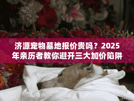 济源宠物墓地报价贵吗？2025年亲历者教你避开三大加价陷阱