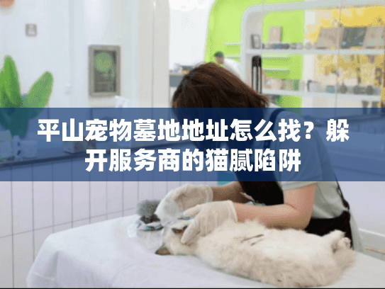 平山宠物墓地地址怎么找？躲开服务商的猫腻陷阱