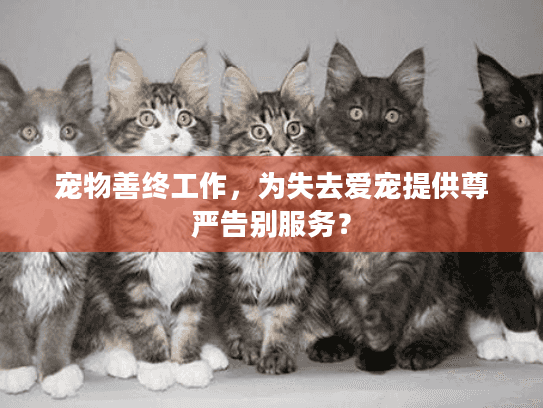 宠物善终工作，为失去爱宠提供尊严告别服务？