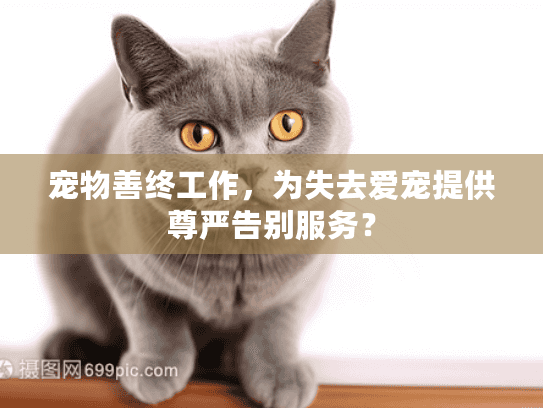 宠物善终工作，为失去爱宠提供尊严告别服务？