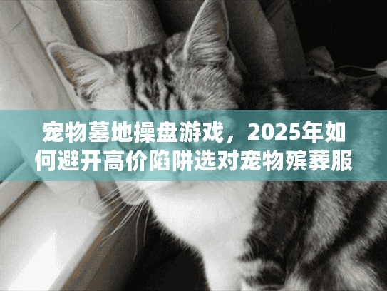 宠物墓地操盘游戏，2025年如何避开高价陷阱选对宠物殡葬服务？