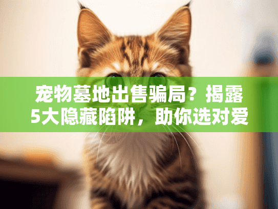 宠物墓地出售骗局？揭露5大隐藏陷阱，助你选对爱宠安息地