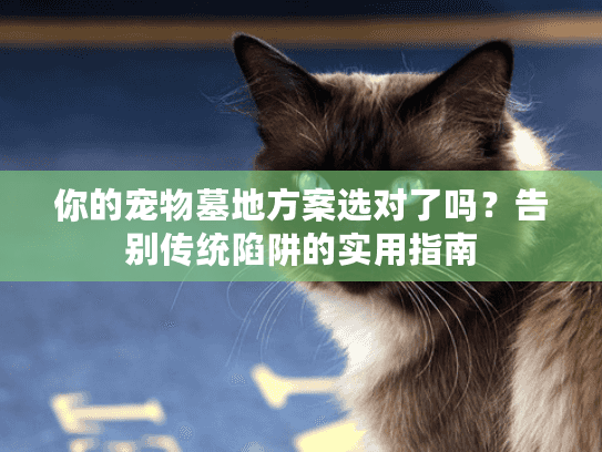 你的宠物墓地方案选对了吗？告别传统陷阱的实用指南