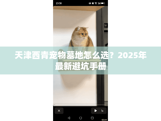 天津西青宠物墓地怎么选？2025年最新避坑手册