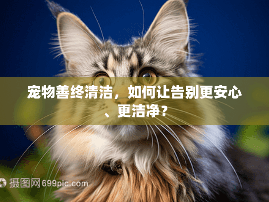 宠物善终清洁，如何让告别更安心、更洁净？