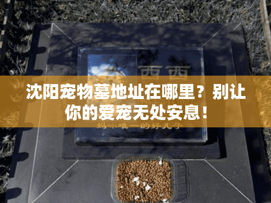 沈阳宠物墓地址在哪里？别让你的爱宠无处安息！