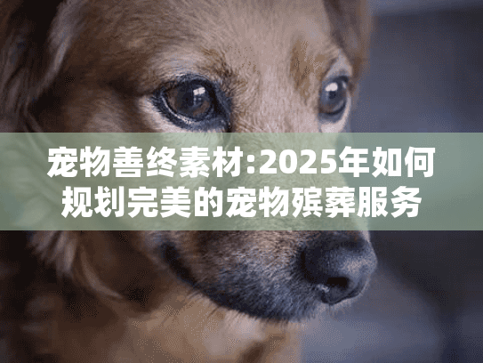 宠物善终素材:2025年如何规划完美的宠物殡葬服务?