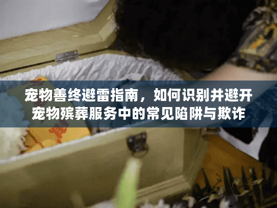 宠物善终避雷指南，如何识别并避开宠物殡葬服务中的常见陷阱与欺诈
