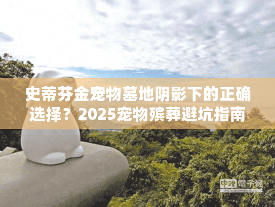 史蒂芬金宠物墓地阴影下的正确选择？2025宠物殡葬避坑指南