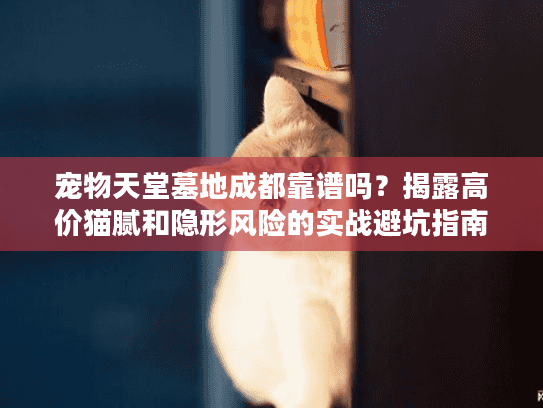 宠物天堂墓地成都靠谱吗？揭露高价猫腻和隐形风险的实战避坑指南