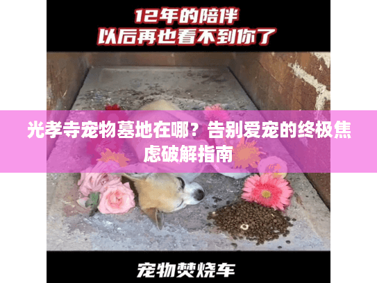 光孝寺宠物墓地在哪？告别爱宠的终极焦虑破解指南