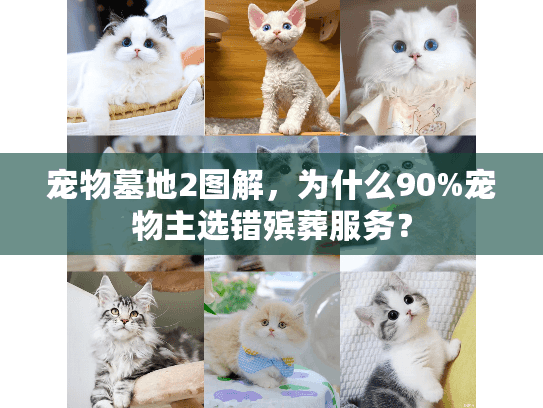 宠物墓地2图解，为什么90%宠物主选错殡葬服务？