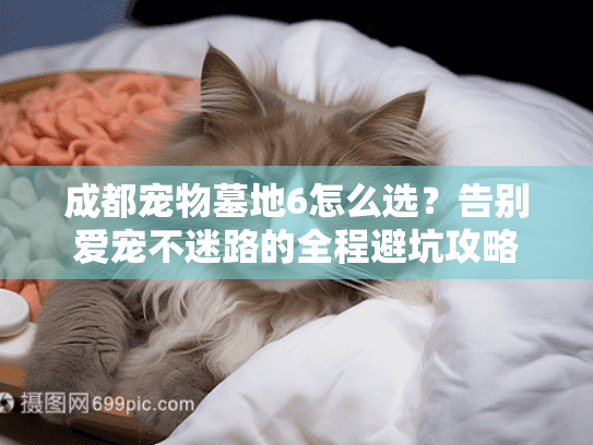 成都宠物墓地6怎么选？告别爱宠不迷路的全程避坑攻略