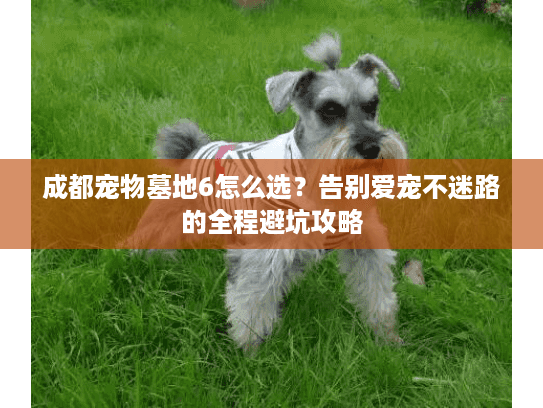 成都宠物墓地6怎么选？告别爱宠不迷路的全程避坑攻略