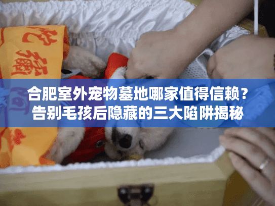 合肥室外宠物墓地哪家值得信赖？告别毛孩后隐藏的三大陷阱揭秘