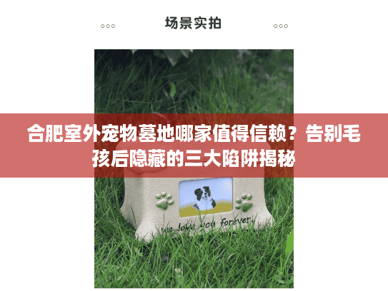合肥室外宠物墓地哪家值得信赖？告别毛孩后隐藏的三大陷阱揭秘