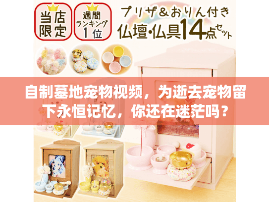 自制墓地宠物视频，为逝去宠物留下永恒记忆，你还在迷茫吗？
