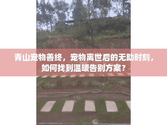 青山宠物善终，宠物离世后的无助时刻，如何找到温暖告别方案？