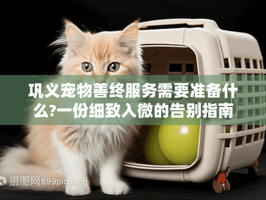 巩义宠物善终服务需要准备什么?一份细致入微的告别指南