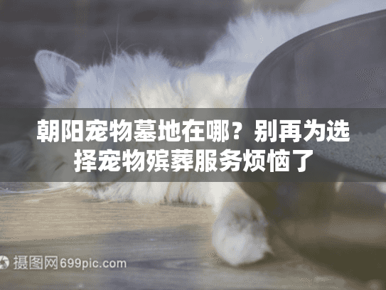 朝阳宠物墓地在哪?别再为选择宠物殡葬服务烦恼了 朝阳宠物墓地在哪?别再为选择宠物殡葬服务烦恼了