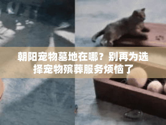 朝阳宠物墓地在哪?别再为选择宠物殡葬服务烦恼了 朝阳宠物墓地在哪?别再为选择宠物殡葬服务烦恼了