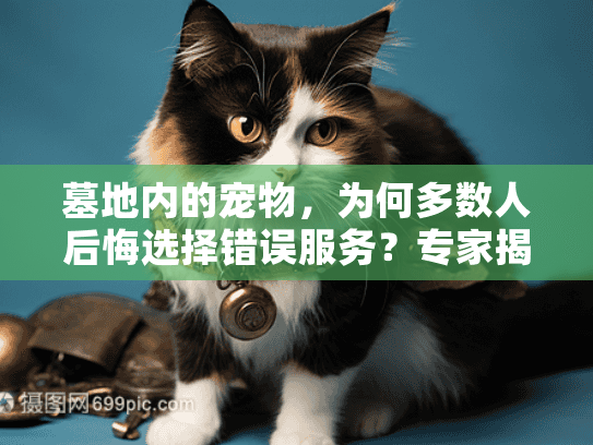 墓地内的宠物，为何多数人后悔选择错误服务？专家揭秘避坑指南