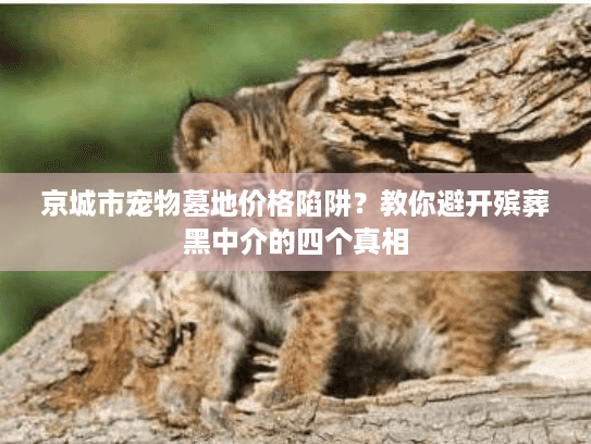 京城市宠物墓地价格陷阱?教你避开殡葬黑中介的四个真相 京城市宠物墓地价格陷阱?教你避开殡葬黑中介的四个真相