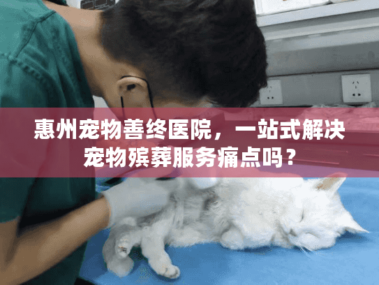 惠州宠物善终医院，一站式解决宠物殡葬服务痛点吗？