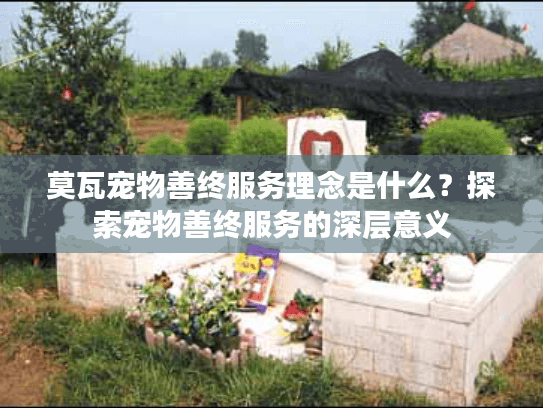 莫瓦宠物善终服务理念是什么？探索宠物善终服务的深层意义