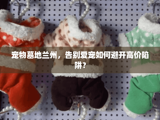 宠物墓地兰州，告别爱宠如何避开高价陷阱？