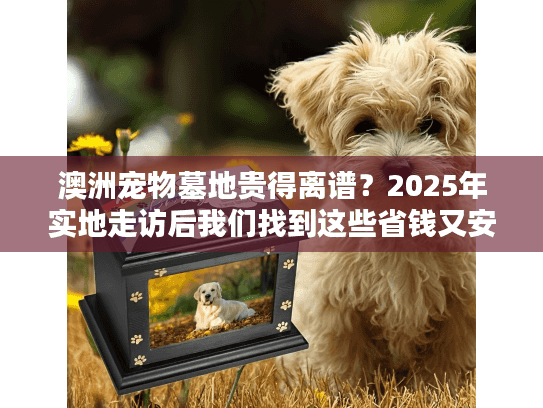 澳洲宠物墓地贵得离谱？2025年实地走访后我们找到这些省钱又安心的方案