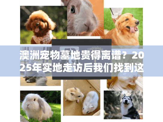 澳洲宠物墓地贵得离谱？2025年实地走访后我们找到这些省钱又安心的方案