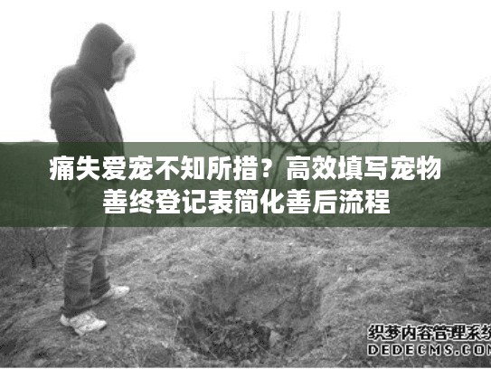 痛失爱宠不知所措？高效填写宠物善终登记表简化善后流程