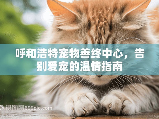 呼和浩特宠物善终中心，告别爱宠的温情指南