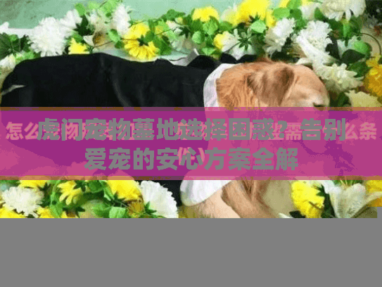 虎门宠物墓地选择困惑？告别爱宠的安心方案全解