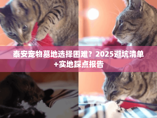 泰安宠物墓地选择困难？2025避坑清单+实地踩点报告