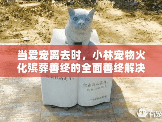 当爱宠离去时，小林宠物火化殡葬善终的全面善终解决方案
