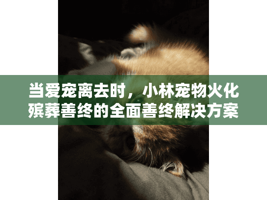 当爱宠离去时，小林宠物火化殡葬善终的全面善终解决方案