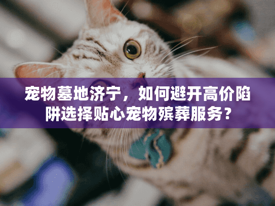 宠物墓地济宁，如何避开高价陷阱选择贴心宠物殡葬服务？