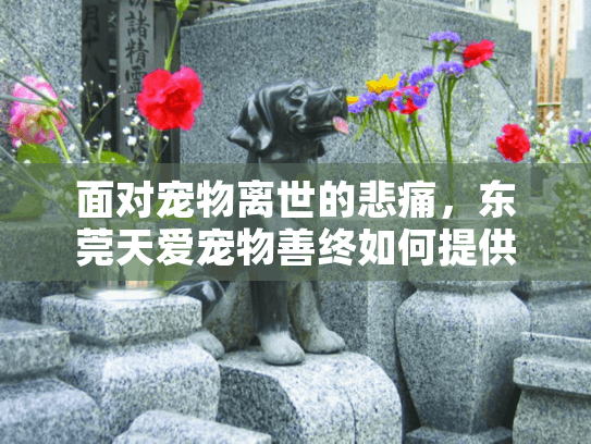 面对宠物离世的悲痛，东莞天爱宠物善终如何提供专业告别服务？